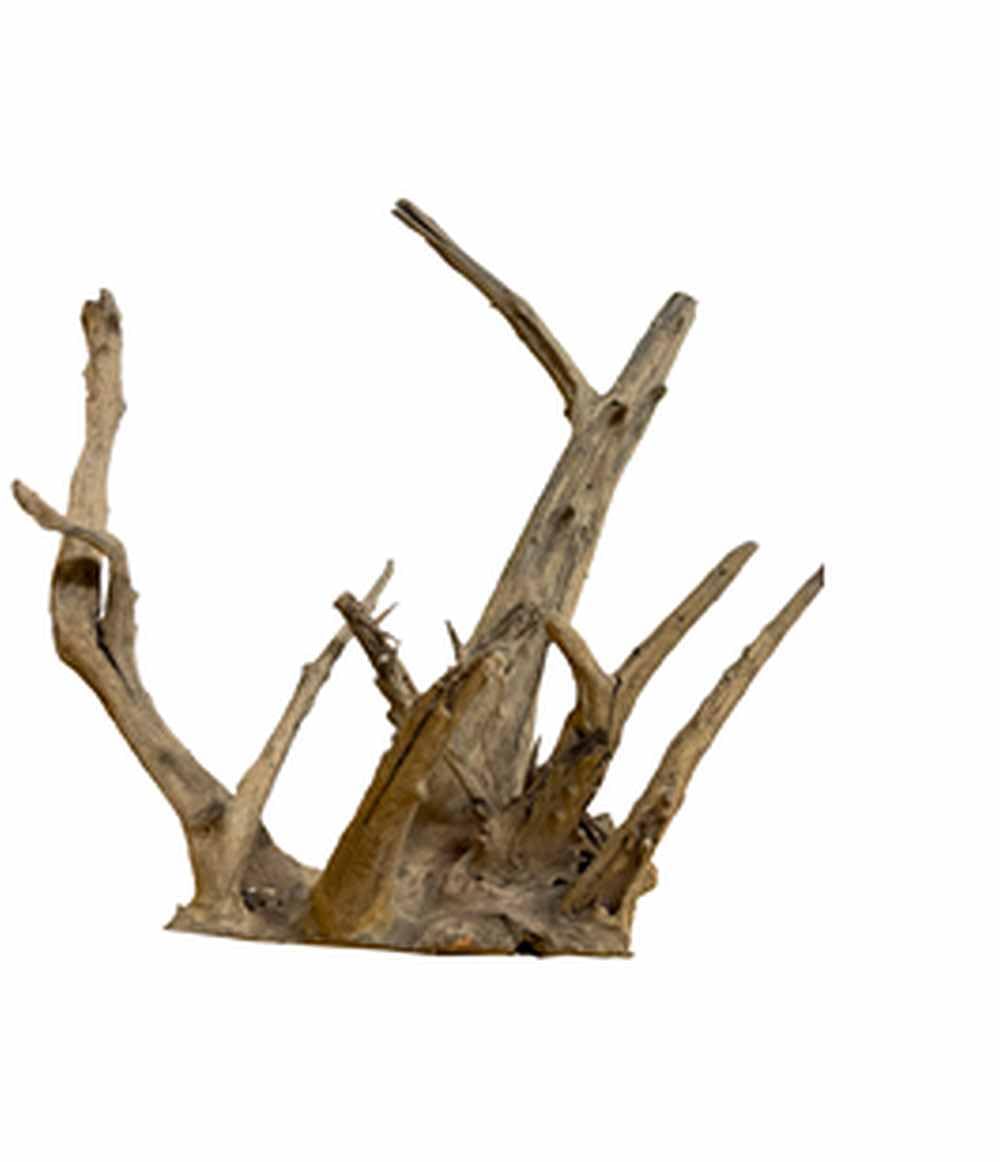 Biotope Aquatics Ltd Aquarium Wood - Structured Tree Root - Fish Tank Driftwood Decoration - Different Sizes (Small (10-20cm))