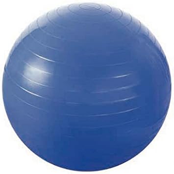 by HMS Gym Ball, Fitness Ball HMS 55 cm: Amazon.es: Salud y ...