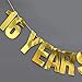 16 Years Loved Banner sweet 16 16th birthday party birthday decor Gold banner 16th birthday party party banner photo props sweet sixteen decorations anniversary decor gifts under 16