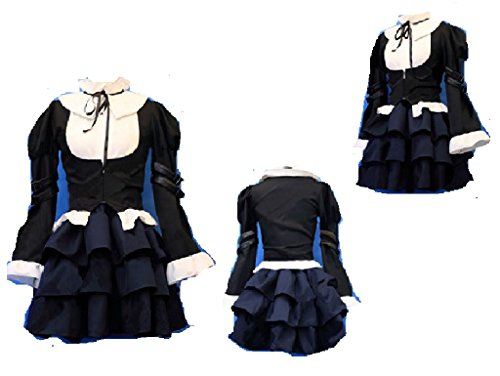 Fairy Tail Erza Scarlet Lolita Dress cosplay costume