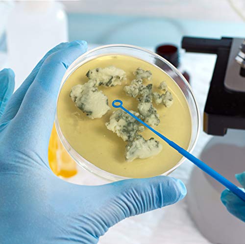 3 Potato+Dextrose+Agar+Plates+Prepoured