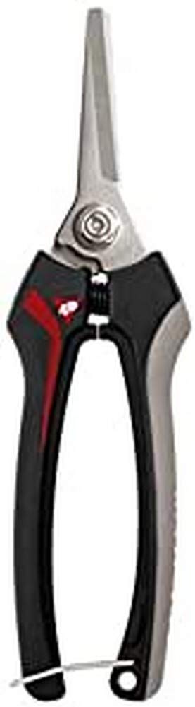 BELLOTA 3621 INOX-ce MB – Scissors recolectora