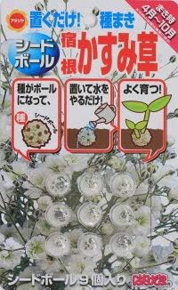 Amazon アタリヤ農園 シードボール はなたま 宿根かすみ草 野菜