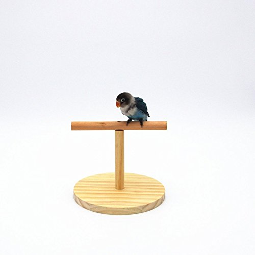Parrot Perch Bird Stand Natural Wood Quartz Sand Birdcage Play Gym T Perch Fits for Budgies Parakeet Cockatiel Conure Lovebirds (B)