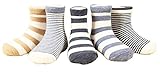 CHUNG Little Boys Girls Toddlers 5 Pack Cotton Crew Socks 1-6 Years