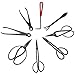 IMAGE Carbon Steel Bonsai Tool Set 10-Pc Master Professional Shear and Brush Kit with Tool Roll Wires in Heavy Duty Nylon Case