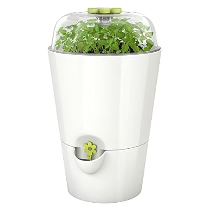 Emsa 515565 Kräutertopf mit Pflanzglocke, Starter-Set zum Anpflanzen, 15,2 cm, Weiß, Fresh Herbs Grow