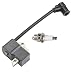Panari 4137 400 1350 Ignition Coil Module + Spark Plug for STIHL FS75 FS80 FS85 KM85 HS75 HS80 HS85 FH75 HL75 HT70 HT75 String Trimmer Brushcutter primary