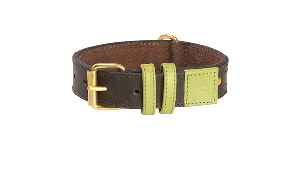 bobby dog collar