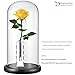 DEFAITH Crystal Vase Stand for Gold Rose, Fresh-Cut Rose Flowers Decorative Centerpiece for Home or Table 1.18