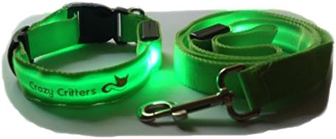Crazy Critters LED Dog Leash and Collar Set, Small, Green