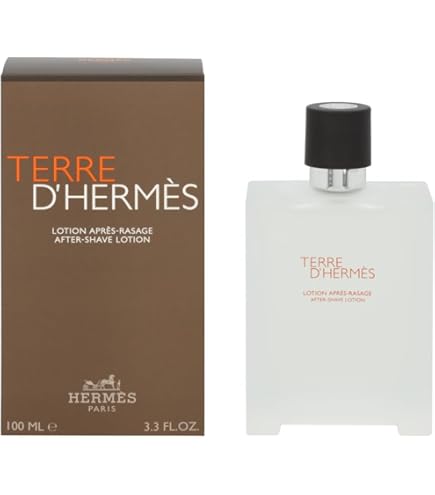Amazon.com : Terre D' Hermes Eau De Toilette Spray for Men by