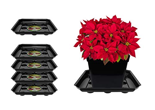 Curtis Wagner Plastics SQDS-1600B Carpet Saver Plant Tray Drip Pans (5-Pack) – Black, Square (Diameter = 16″ top, 13.75″ Bottom, 1.62″ Depth) Thick Plastic Indoor & Garden – Clear, Black & Terracotta
