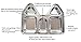 Kids Stainless Steel Section Plates