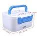 WHOSEE Electric Heating Lunch Box Portable Bento Meal Heater Food Warmer for Car and Home 12V Blue