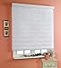 Basic, White, W 27 x H 47 inch Zebra Roller Blinds, Dual Layer Shades, Sheer or Privacy Light Control, Day and Night Window Drapes, 10 to 110 inch Wide
