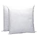 IZO All Supply Square Sham Stuffer Throw Pillow Insert, White, 16 by 16 Inches, Pack of 2