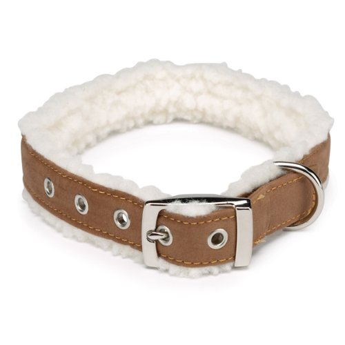 10 Of The Best Collars For Golden Retrievers