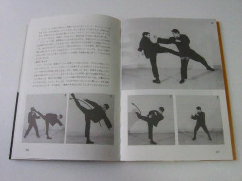 ブルース リー格闘術 Vol 3 実戦編 リー ブルース ウエハラ M Lee Bruce Uehara M 康生 松宮 本 通販 Amazon