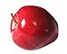 Sweet Family SFamily 10pcs Decorative Red Delicious Apples Artificial Plastic Fruits Home Desk Tables Decor