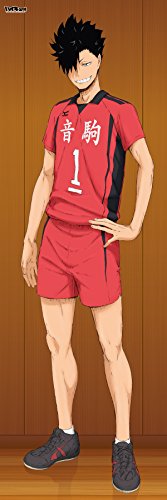 ハイキュー 等身大タペストリー 黒尾鉄朗の買取価格 相場 高価買取なら買取一括比較のウリドキ