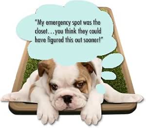 potty patch as seen on tv