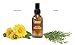 The Goodbye Company Hemorrhoid Treatment – Natural Vegan Hemorrhoid Healing Serum – Fast Relief & Shrinking Formula – Made in USA (15mL)