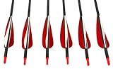 Southwest Archery Sage Premium Recurve Carbon Arrows 31.5