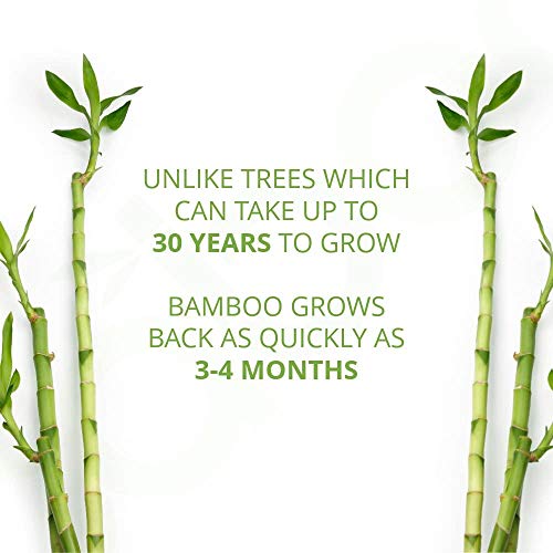 Caboo-Tree-Free-Bamboo-Paper-Towels-6-Rolls-Earth-Friendly-Sustainable-Kitchen-Paper-Towels-with-Strong-2-Ply-Sheets