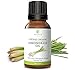 Certified Organic (USDA & ECOCERT) Lemongrass Essential Oil by RejuveNaturals, 15 ml | 100% Pure, Steam Distilled, Gluten and Hexane Free | For Stress Relief, Muscle Aches, or Aromatherapy
