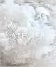 Atelier: The Cookbook by