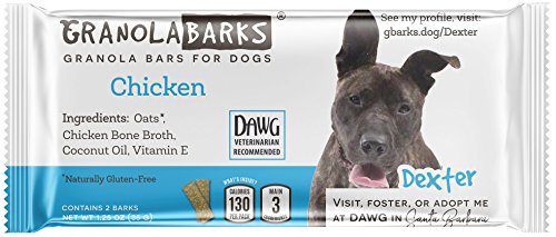 Granola Barks' Granola Bars for Dogs