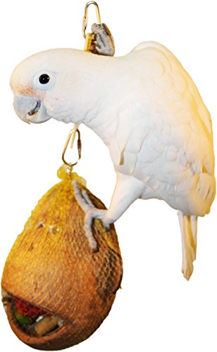 Coco Head Bird Foraging Toys (Monkey Coco Head)