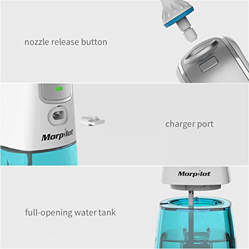 Oral Irrigator, Dental Flosser Waterproof Teeth Cleaner with 6 Jet Tips 300ML Water Tank for Home, Travel Use, Adults and Kids
