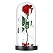 Glass Flower Galaxy Rose Gift for Women: Light Modes, USB Plug & Battery Powered Mother Birthday Thanksgiving Present Mom Her Wedding Anniversary Delivery Day Idea from Daughter