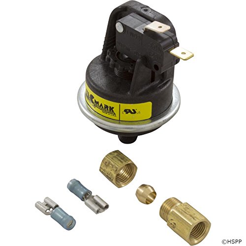 Raypak Pressure Switch, Versa/Gemini/RP2100