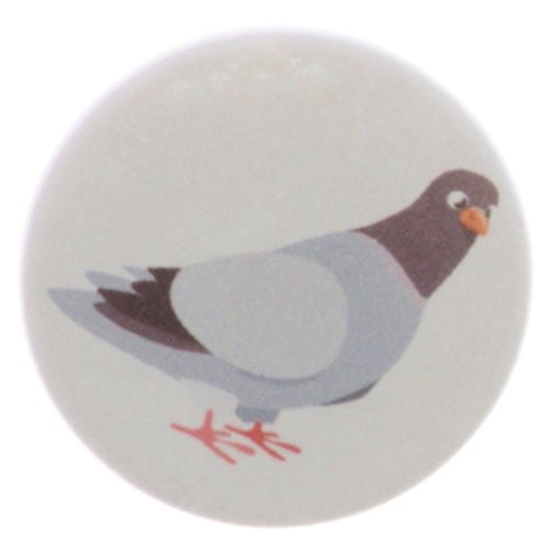 A&T Designs Unisex - Serious Pigeon 1.25