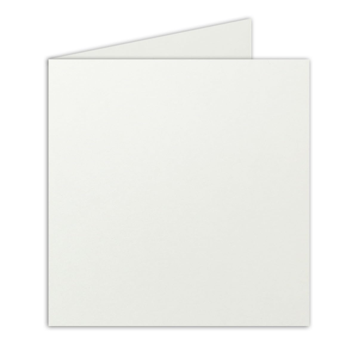 Neuser Square Folding Cards – 15 x 15 cm Light Grey – Premium Quality – Very Stable – Inkjet – Quality Brand Colourful 25 Doppelkarten Light Gray