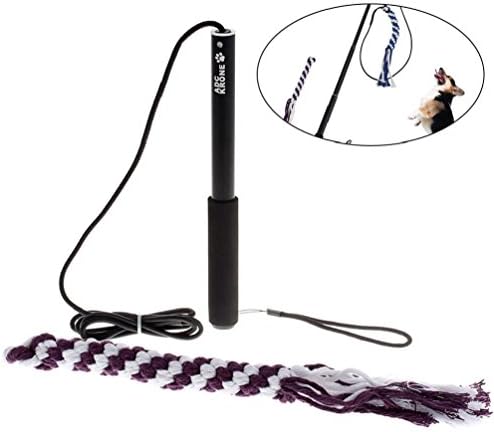 Interactive Dog Toys Extendable Flirt Pole Funny Chasing Tail Teaser Exerciser