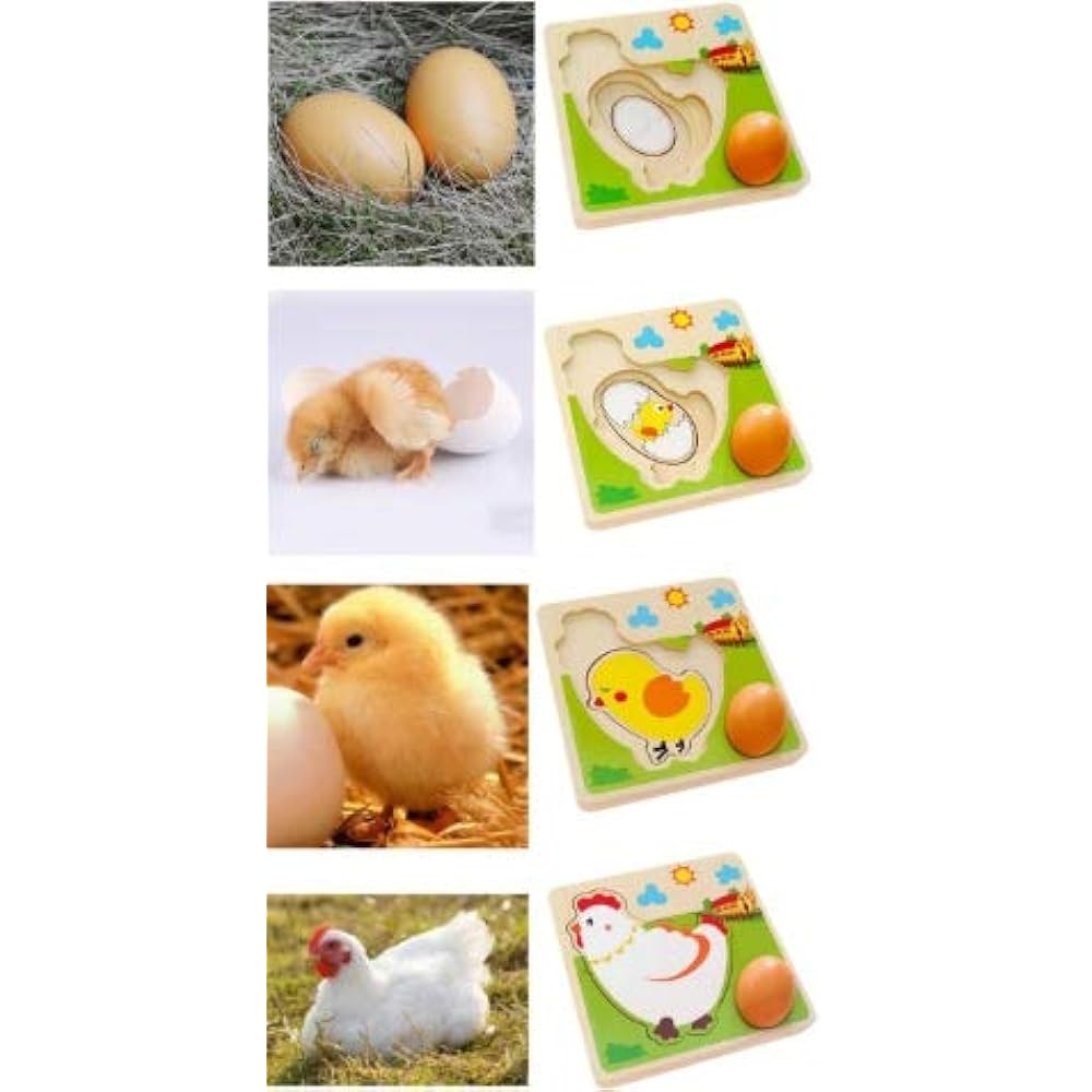 Download TKmom Wooden Layered Puzzle Chick Growth, Farm Animal ...