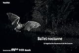 Ballet nocturne by 