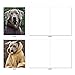 The Best Card Company - 10 Blank Dog Greeting Cards for All Occasions (4 x 5.12 Inch) - Dogs In Da Hood M3733OCB-B1x10-NB