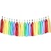 Tissue Paper Tassel DIY Party Garland Decor for All Events & Occasions - 20 Tassels Per Package (Rainbow)