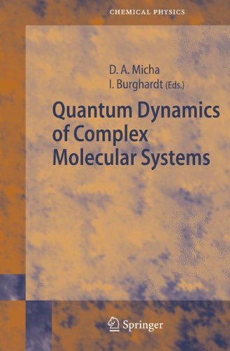 Quantum Dynamics of Complex Molecular Systems (Springer Series in Chemical Physics)