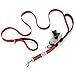 Heavy Duty Dog Leash | Bonus! Attachable Dog Poop Bag Holder and Roll of Bags | 6 FT Lead for Medium to Large Dogs | Short and Long Padded Handles for Better Control | Reflective for Nighttime Safety
