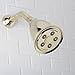 Speakman, Polished Brass S-2005-HB-PB Hotel Anystream High Pressure 2.5 GPM Adjustable Shower Head