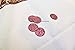 Rose Gold Party Decorations 173 Pack For Easy Party Setup – Rose Gold Party Supplies Includes 18 Rose Gold Balloons, 1 Rose Gold Sequin Table Runner,2 Foil Curtains,50 Paper Straws,100 Glitter Pieces