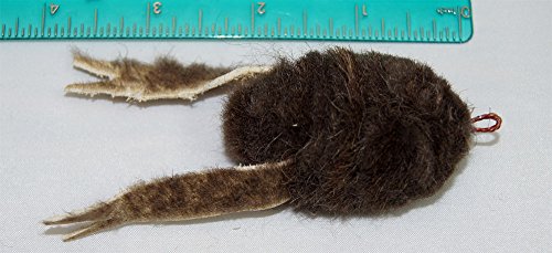 CoolCyberCats Fun Buffalo Rat Pack Frog Refill/Attachments - Fits Wildcat and Popular Bird and Mouse Type Wands/Poles