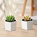 Succulent Planter, MoonLa 2.75 Inch Succulent Plant Pots, Set of 7 White Ceramic Hexagon Succulent Cactus Planter Pots with Bamboo Tray(Plants NOT Included)
