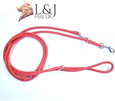 police dog training on ropes